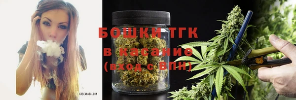 прущие грибы Алексин
