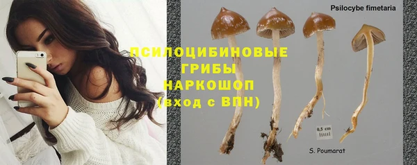 прущие грибы Алексин