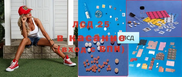 индика Алзамай