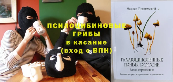 индика Алзамай