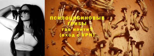 МДПВ Нефтегорск